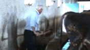Sustaining Natural Resources in Rural Turkey